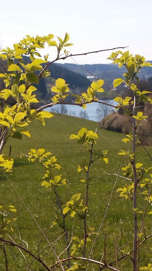 Ferienhaus " Silly " Am Schoenen Listersee ماينرتسهاغن المظهر الخارجي الصورة